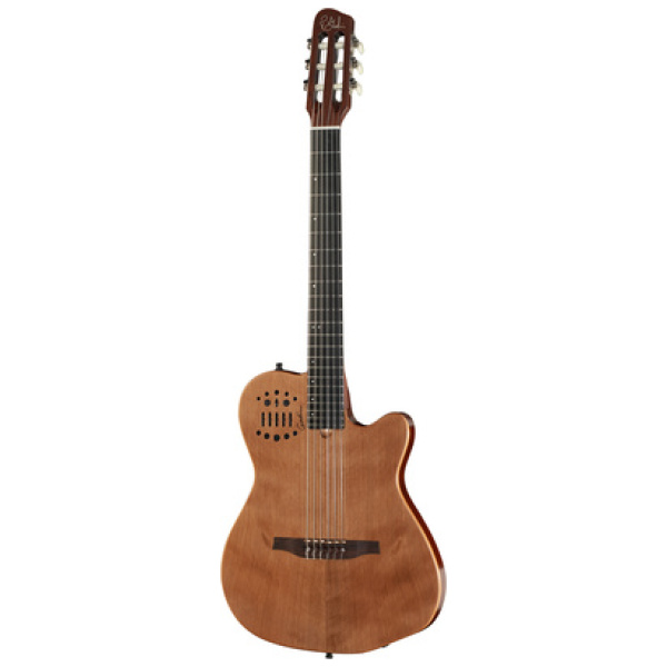 Godin ACS Nylon