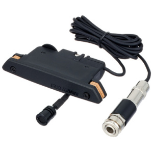 Fishman Rare Earth Mic Blend