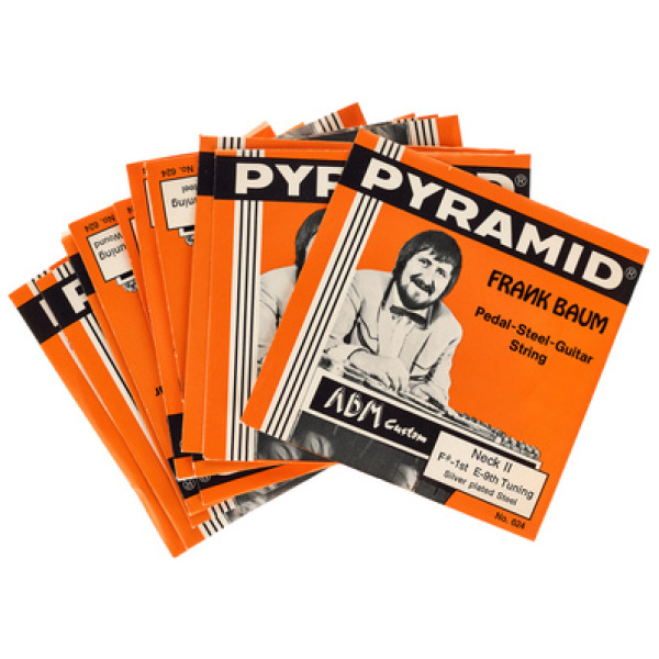 Pyramid E-9th Pedal Steel Set
