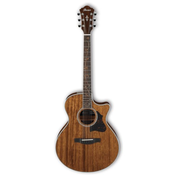 Ibanez AE245-NT