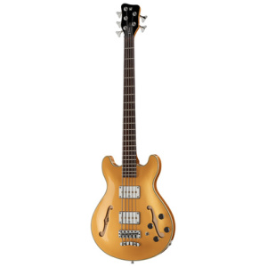 Warwick RB Star Bass 5 MGHP