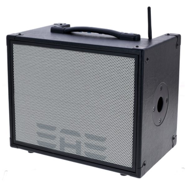 Elite Acoustics D6-58 Acoustic Amplifier
