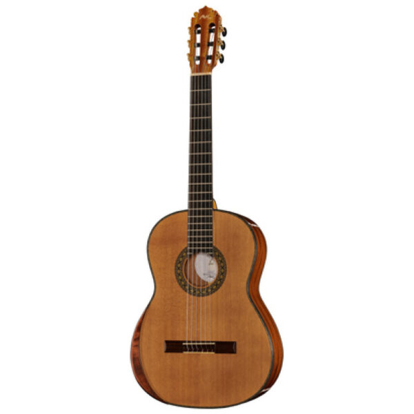 Manuel Rodriguez Magistral D-C