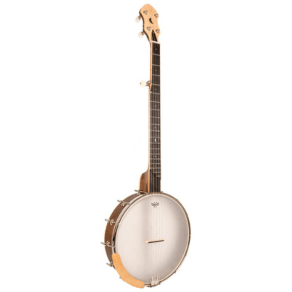 Gold Tone High Moon HM-100 Banjo