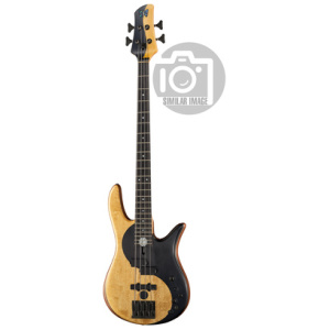 Fodera Yin Yang Standard 4 II