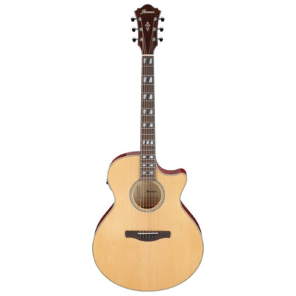 Ibanez AE170-NTR