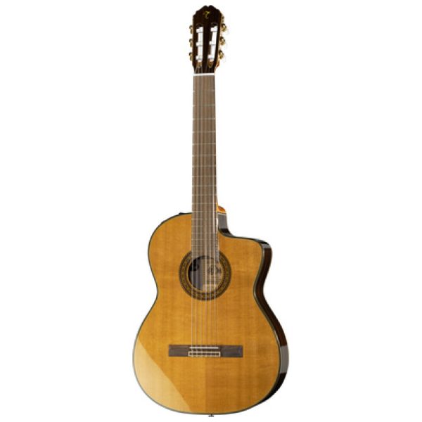 Takamine EC132SC w/Softcase Takamine EC132SC w/Softcase