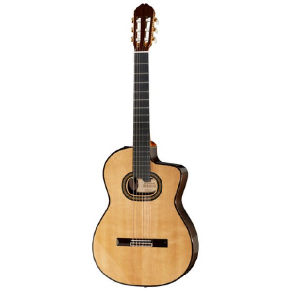 Takamine DH90 w/Softcase Takamine DH90 w/Softcase